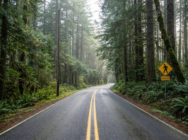 Oregon Fat Tire Electric Bike Trails: 5 Routes from Sand Dunes to Mountain Singletrack