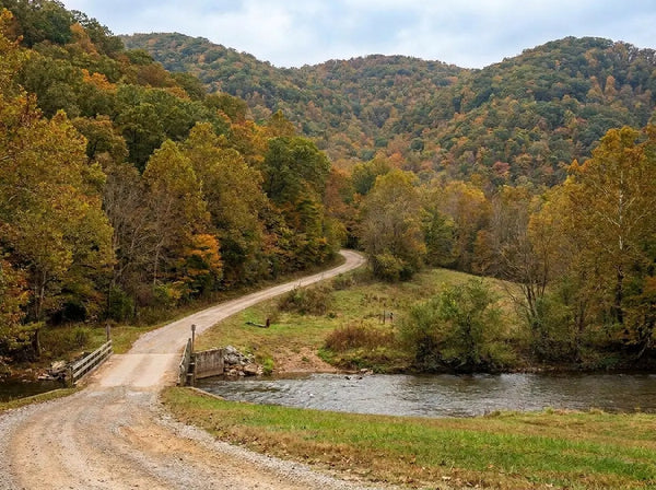 Tennessee Off-Road Electric Dirt Bike Trails: Windrock, Brimstone & Beyond