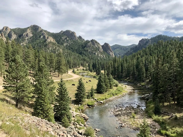 South Dakota Off-Road Trails for Electric Dirt Bikes: Black Hills OHV Rides