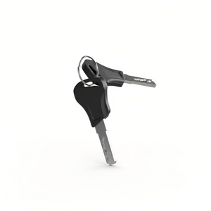 Custom EDIKANI E-Bike Key Replacement