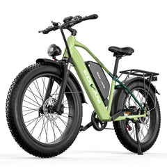 EDIKANI TOP-S80 3000W Peak Motor Fat Tire Electric Bike