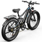 EDIKANI ED-SF01 2000W Peak Motor Fat Tire Electric Bike