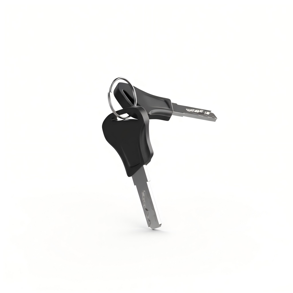 Custom EDIKANI E-Bike Key Replacement -  image  1