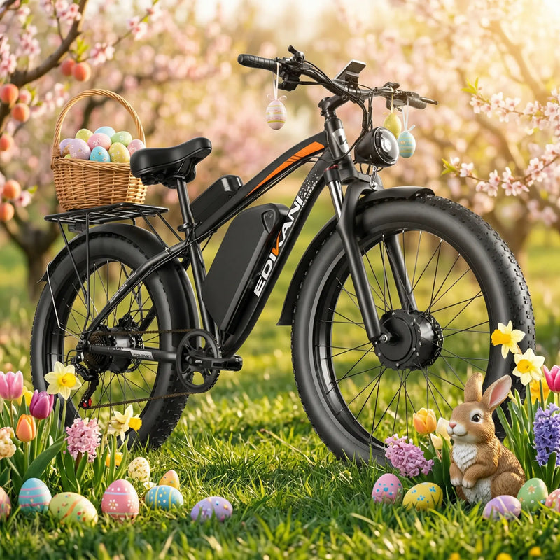 EDIKANI ED-SN01 5000W Peak Dual Motor Fat Tire Electric Bike