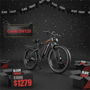 EDIKANI ED-SN01 5000W Peak Dual Motor Fat Tire Electric Bike