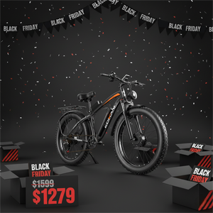 EDIKANI ED-SN01 5000W Peak Dual Motor Fat Tire Electric Bike