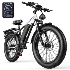 EDIKANI ED-S01 1500W Peak Motor Fat Tire Electric Bike