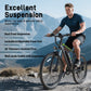 EDIKANI ED-M01 Mountain Electric Bike-9
