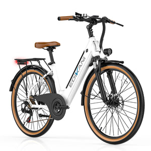 EDIKANI ED-M02 Mountain Electric Bike-1