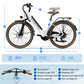 EDIKANI ED-M02 Mountain Electric Bike-12