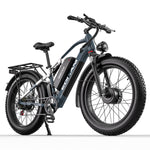 EDIKANI TOP-D80 Fat Tire Electric Bikes-2