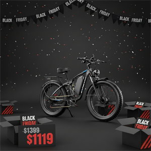 EXRBYKO EX-R05 3000W Peak Dual Motor Fat Tire Electric Bike