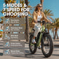 EDIKANI TOP-S80 3000W Peak Motor Fat Tire Electric Bike