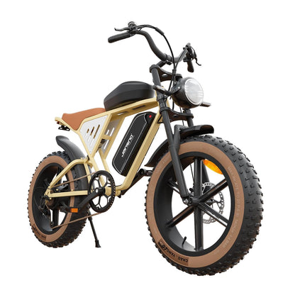 Jansno X70 Electric Bike – Long Range Dual Battery Bicycle for Delivery Riders