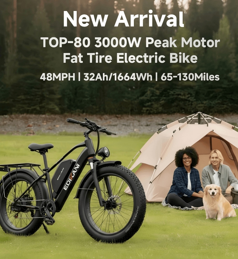 Top S80 3000W Peak Motor Fat Tire Electric Bike-1