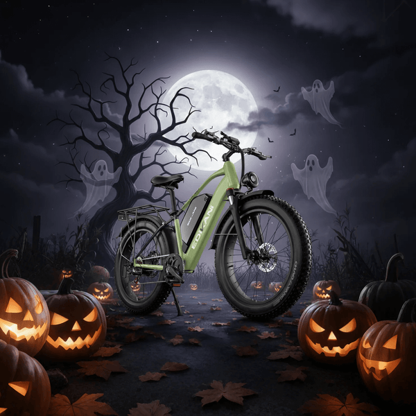 EDIKANI TOP-S80 3000W Peak Motor Fat Tire Electric Bike